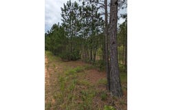 7900 Downs Road, Winston, GA 30187