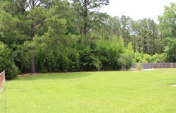 2163 Pinehurst Avenue, Charleston, SC 29414