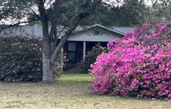 2801 Hwy 97, Molino, FL 32577