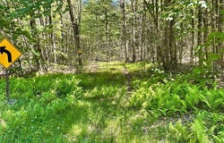 3045 Red Hill Road, Grahamsville, NY 12740