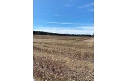 LOT F NE County Road 571, Kalkaska, MI 49646