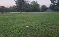 Tbd County Road 203, Wheatland, MO 65779
