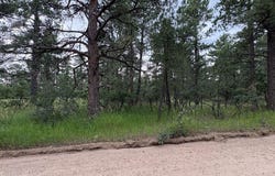 Birch Dr, Rye, CO 81069