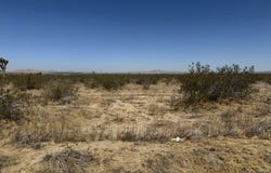 17700 E Ave T8, Palmdale, CA 93591