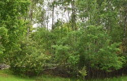 Islanders lot: 271, Gladwin, MI 48624