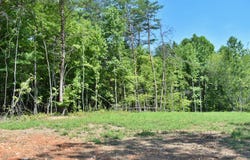 521 Norton Road, Ten Mile, TN 37880