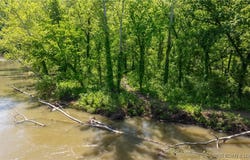 115 Hacksaw Lane, Camdenton, MO 65020