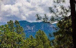 350 harman Avenue, Pagosa Springs, CO 81147
