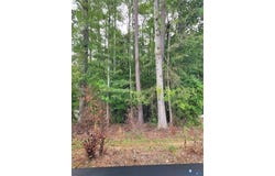 TBD09 Kimages Road, Charles City, VA 23030