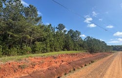 Lewis Drive lot: #9, Georgetown, GA 39854