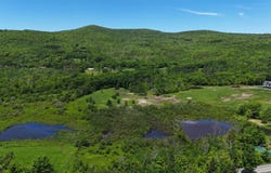 0 Mitchell Hollow Road, Windham, NY 12496