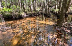 Creekdown Ln lot: 9, Jay, FL 32565
