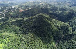 Finca Collores, Barrio Mameyes Abajo, Utuado, 00650