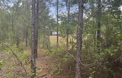 220 Henry Rd, Downsville, LA 71234