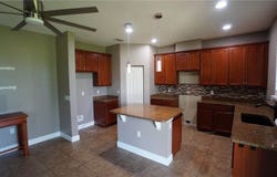 222 Star Shell Drive, Apollo Beach, FL 33572