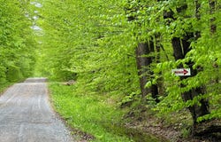 1.12 Prince Brook Road, Osceola, NY 13437