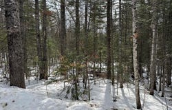 2001 West Street, Carrabassett Valley, ME 04947