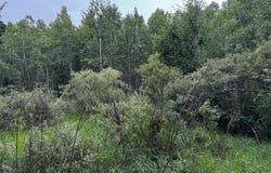 Pinelake PINE LAKE RD, Minocqua, WI 54548