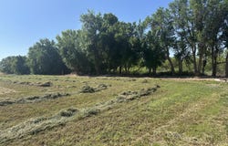 1.45 Off NM Highway 116, Bosque, NM 87006