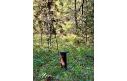 Nhn Sapphire Lane E lot: 3, Trout Creek, MT 59874