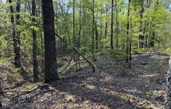 0 Grant County Rd 291020, Prattsville, AR 72129