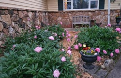 225 Elim Street, Forsyth, MO 65653