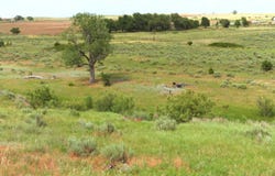 E County Road 31, Fort Supply, OK 73851-0000