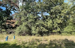Lot 166 Stonewall Drive, Streetman, TX 75859
