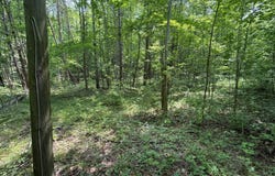 107 Possum Trot Ln, Linden, TN 37096