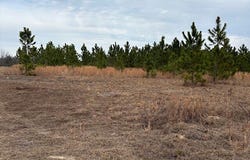 Oakridge Church Road, Tifton, GA 31794
