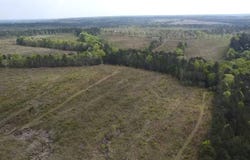 016 Peake Road, Elgin, SC 29045