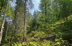 120 Acres Willow Creek, Ishpeming, MI 49849