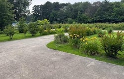286 Hoover Street, Calion, AR 71730