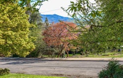 495 Chestnut Street, Ashland, OR 97520