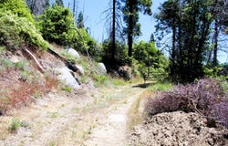 Redwood Dr, Springville, CA 93265