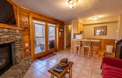 336 Big Bear Way, Pigeon Forge, TN 37863