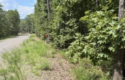 Lake Cliff Rd. lot: 64, Higden, AR 72067