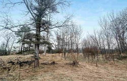 23 Cinnamon Lane, Traverse City, MI 49686