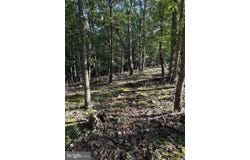Lot 40 BERENGER DRIVE, PETERSBURG, WV 26847