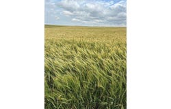 000 232 Rd, Burdett, KS 67523