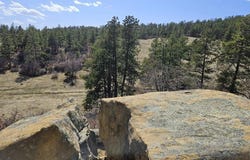 337 Rancho La Garita, Weston, CO 81091
