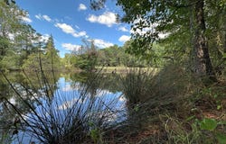 2214 Highway 53, Rosston, AR 71858