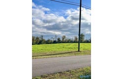 418 Scenic Drive, Section, AL 35771