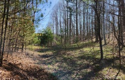 6033 Hwy 321, Sugar Grove, NC 28679
