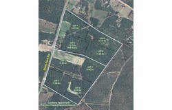 13.97 Acre State Park Road lot: 4, Windsor, SC 29856