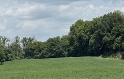 W 50 S, Princeton, IN 47670