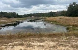 Lot 18 Woodland Trail Ranch, Caldwell, TX 77836