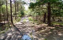 909 FM, Bogata, TX 75417