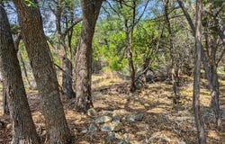 369 Onion Creek Lane lot: 10, Blanco, TX 78606