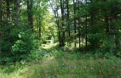 N9390 County Road E, Merrillan, WI 54754